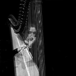 Roberta BRAMBILLA - Harp